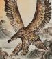 Preview: Chinesische Malerei Rollbild: Adler 69cm *172cm