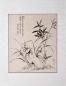 Preview: Chinesische Malerei: Bambus und Orchidee 44x59cm