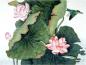 Preview: Zikaden I Gongbi Shu-Papier -Chanyi- 66x130cm ab 1 Bogen Art.Nr. 497 - Kopie