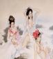 Preview: Wandbild: Chinesische Schönheiten 80cm x166cm