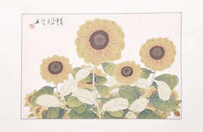 Chinesische Gongbi-Malerei: Sonnenblumen 54x83cm