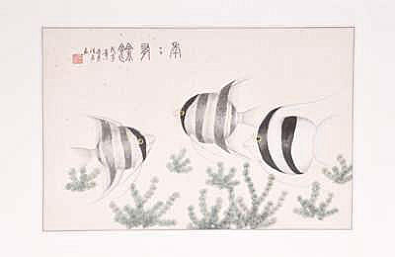 Chinesische Gongbi-Malerei: Exoten unter Wasser 54x83cm